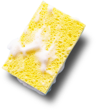 Esponja